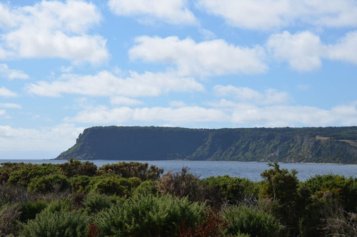 Imagen 6 de 16 de Se Venden Parcelas Con Orilla De Playa En Chiloé