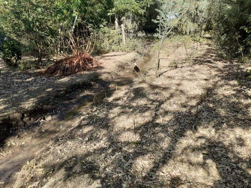 Imagen 8 de 19 de Terreno De 9 Ha En Ñiquen