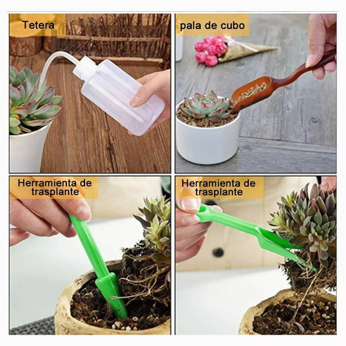Imagen 4 de 5 de Kit De Herramientas De Plantas 15pcs Suculenta De Jardinería