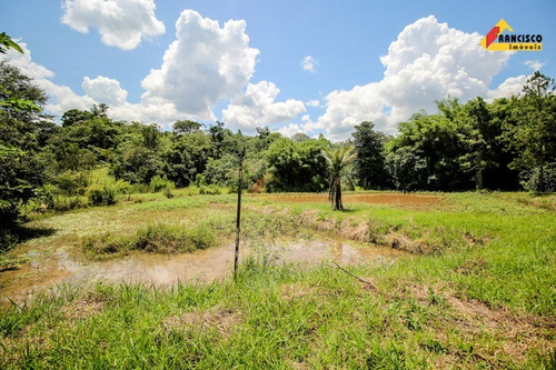 Imagem 24 de 30 de Chácara À Venda, 4 Quartos, 1 Suíte, 4 Vagas, Área Rural De Divinópolis - Divinópolis/mg - 46001