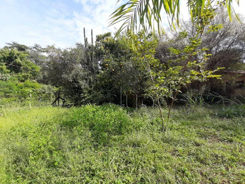 Imagem 14 de 30 de Chácara Com 1 Dormitório À Venda, 2000 M² Por R$ 290.000,00 - Godinho - Piracicaba/sp - Ch0111