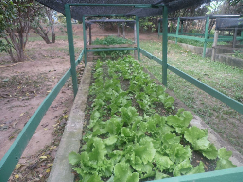 Imagem 11 de 14 de 2.000 M2 Bela Chácara - Castelo Branco Km 75
