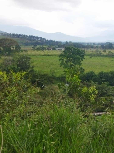 Imagen 14 de 14 de Baja De Precio... En Venta Finca En El Municipio Montalban - Carabobo