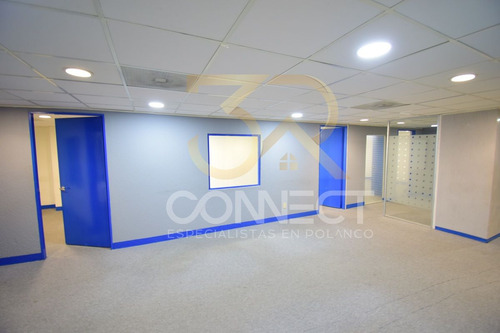 Oficina En Renta En Anzures 6c/2b/1e - Excelente Ubicación - 178m2