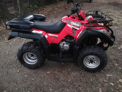 Cuatri Motomel 250 Parrillero Cardanico Malacate