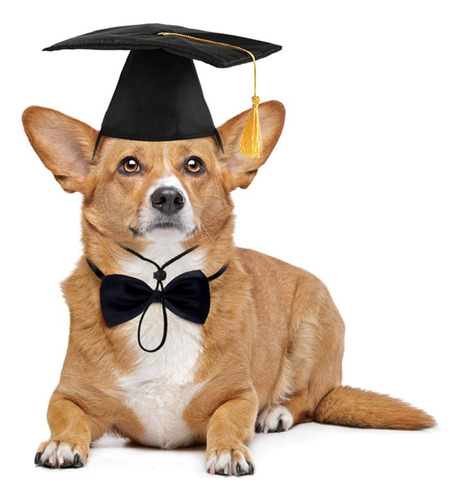 Juego De Gorro De Graduacin Para Perros Y Collar De Pajarita