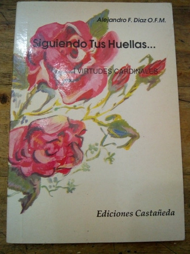 Libro Siguiendo Tus Huellas De Alejandro Diaz (66)