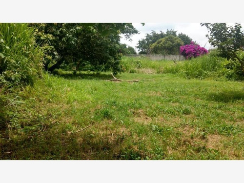 Imagen 4 de 12 de Terreno En Venta Ixtlahuacan