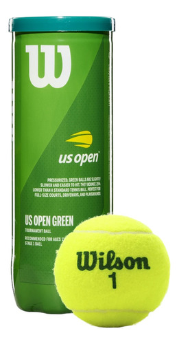 10 Pack Pelota Para Tenis Wilson Punto Verde