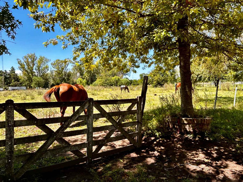 Venta De15 Lotes Con Subdivisión En Carlos Keen 