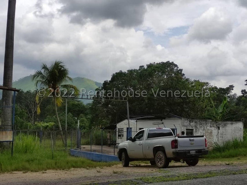 Finca En Venta Bejuma Carabobo 237179 P