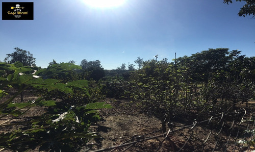 Imagem 14 de 30 de Excelente Chácara À Venda Em Boituva - Ch00079 - 34078339