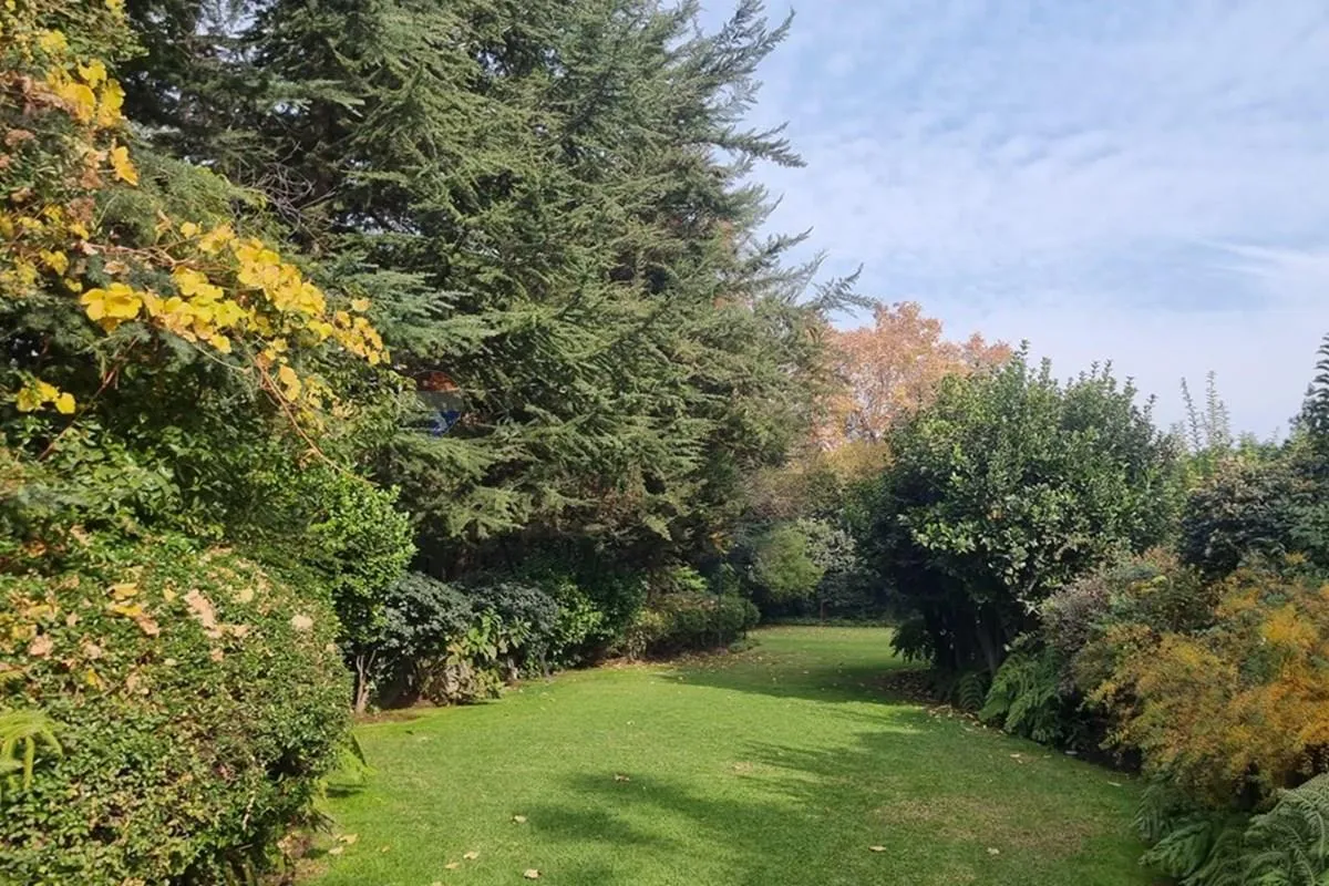 Imagen 1 de 27 de Tu Nuevo Hogar En San Damián Te Espera