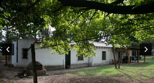 Imagen 6 de 23 de Hermoso Campo De 10 Ha En Cardales - Exaltacion De La Cruz