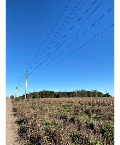 Campo Agropecuario/ Zona Industrial De 33ha Cercana A Puertos Cerealeros De Timbúes