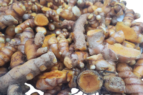 Açafrão Orgânico Fresco- Curcuma 2 Kg