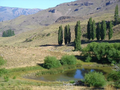 Imagen 21 de 30 de Campo En Venta Zona Alumine, Neuquén