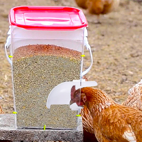 Comedero Para Aves De Corral A Prueba De Lluvia, Juego De 6