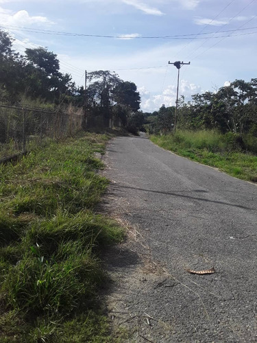Imagen 7 de 7 de Finca En Tinaquillo En Venta, Berenice Martinez 0424-4041893 Cl-bm223