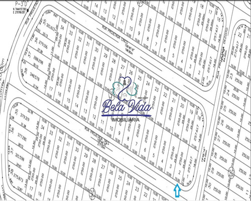 Lote À Venda No Jardim Regina Em Indaiatuba-sp, Bela Vida Imobiliária - Te00231 - 2888688