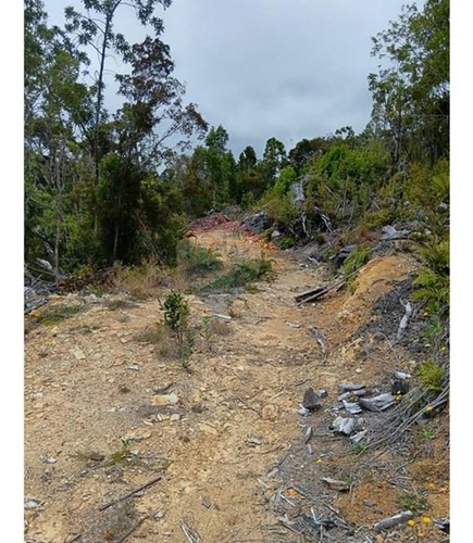 Parcela Con Acceso A Río Y Rol Propio