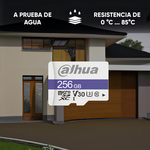 Dahua Kit De 10 Memorias Microsd Tf-c100/256gb Lectura De Hasta 90 Mb/s Escritura De Hasta 95 Mb/s Resistente A Altas Y Bajas Temperaturas Impermeable Antimagnética Y Anti Rayos X