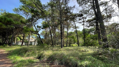 Imagen 20 de 22 de Lote Venta Zona Norte Pinamar - Lote 9