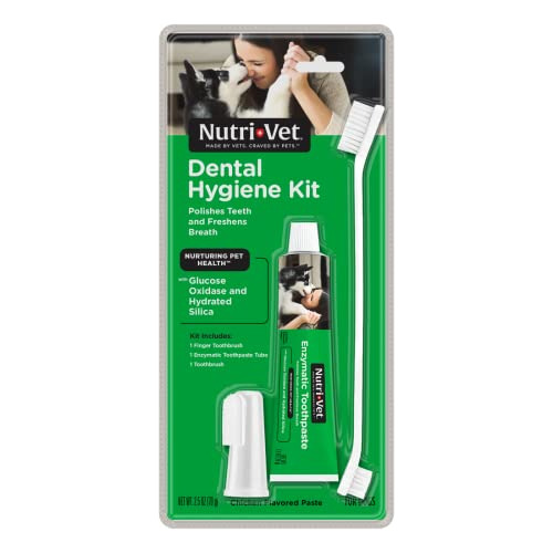 Kit De Higiene Dental Nutritiva Para Perros Con My0mv