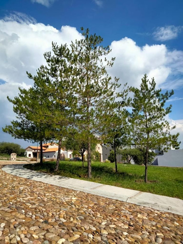 En Venta Lote En Esquina | San Miguel De Allende | Comunidad Privada