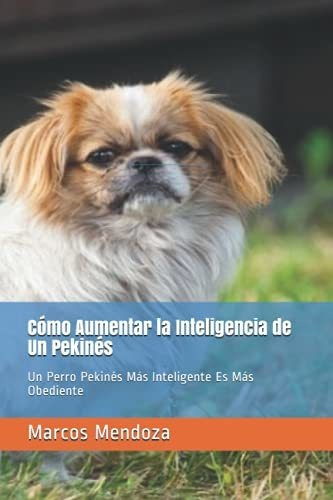 Como Aumentar La Inteligencia De Un Pekines