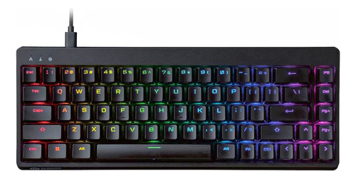 Elecom Gaming V Custom Vk300 Mini Teclado Para Juegos 65% Rg