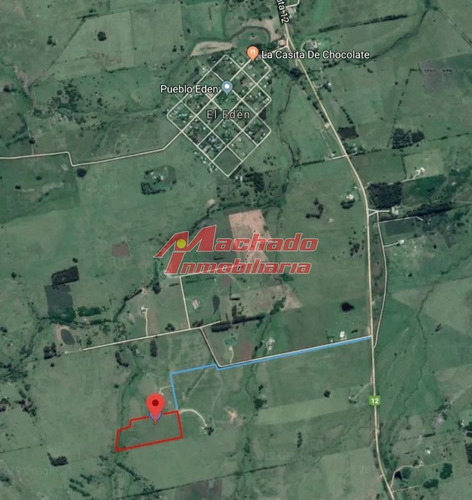 Imagen 5 de 6 de Venta De Chacra De 5 Hectareas Y Media En Pueblo Eden