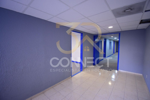 Oficina En Renta En Anzures 6c/2b/1e - Excelente Ubicación - 178m2