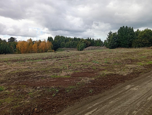 Terreno Ubicado A 6 Km De La Union, Sector Cudico