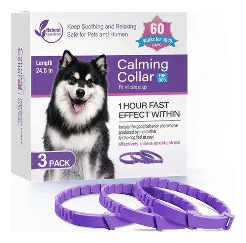 3 Collar Perro Gato Ajustable Calmante Ansiedad Relajante Color Morado Perro