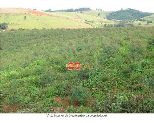 Imagem 6 de 11 de Área Para Indústria, Comércio E Logística Em Atibaia Sp - Te3375