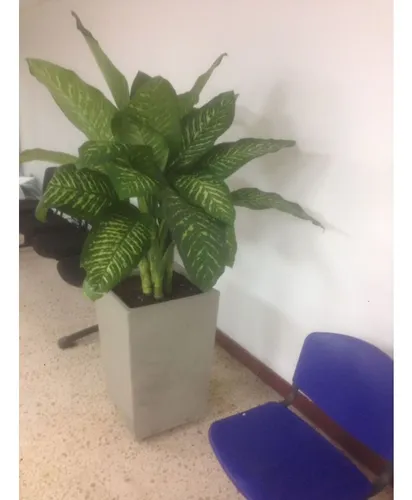 Venta De Local En El Centro De Medellín, Medellín