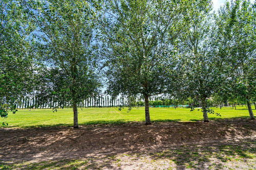 Imagen 9 de 20 de Venta Terreno Haras De Funes - Haras De Funes