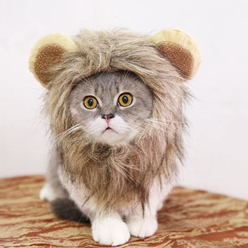 Peruca Pet Gato Leão Kkk.transforme Seu Gato Num Leão Kkk