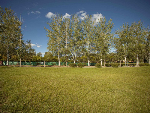 Imagen 4 de 11 de Terreno En Venta En El Tropezón