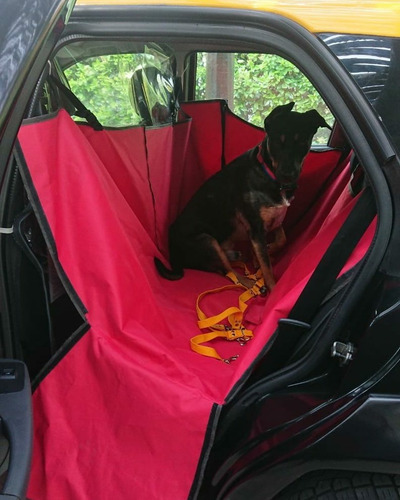 Traslado Costa Atlántica Mascota Viaje Puerta Transfer Remis