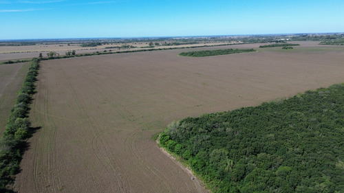 118 Has Agrícolas - Sarmiento, Córdoba