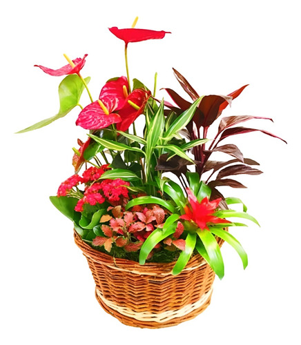 Planta Arreglos Florales De Flores Artificiales