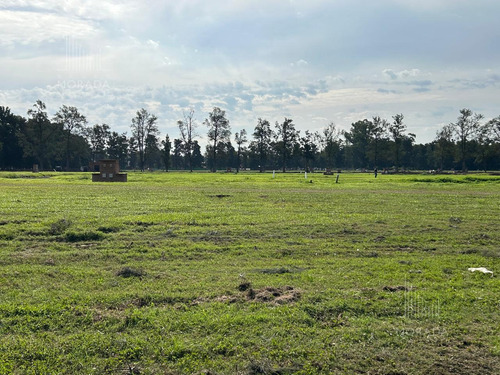 Venta Terreno En Almahue Pilar La Lonja