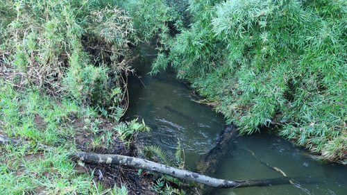 Venta Sitio 5800m2 Zona Rural Region De Los Rios