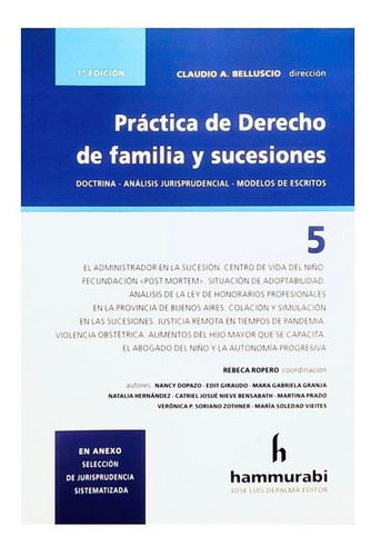 Practica De Derecho De Familia Y Sucesiones T5 - Belluscio