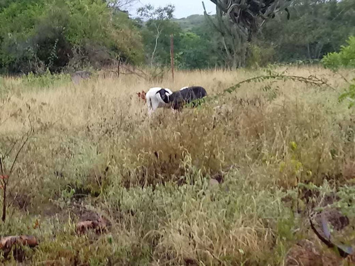 Chácara Top, Para Quem Busca Paz, E Lazer