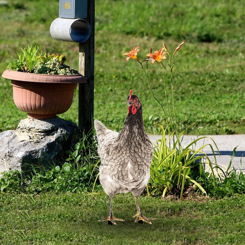 Estatua De Jardín De Pollo, Estaca De Patio De Estilo E