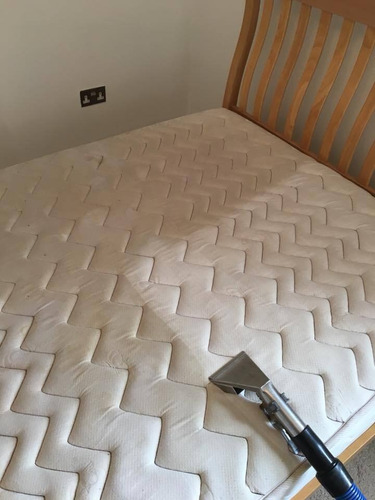 Imagen 3 de 5 de Limpieza De Sillones Y Alfombras