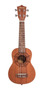 Primera imagen para búsqueda de ukulele ukelele